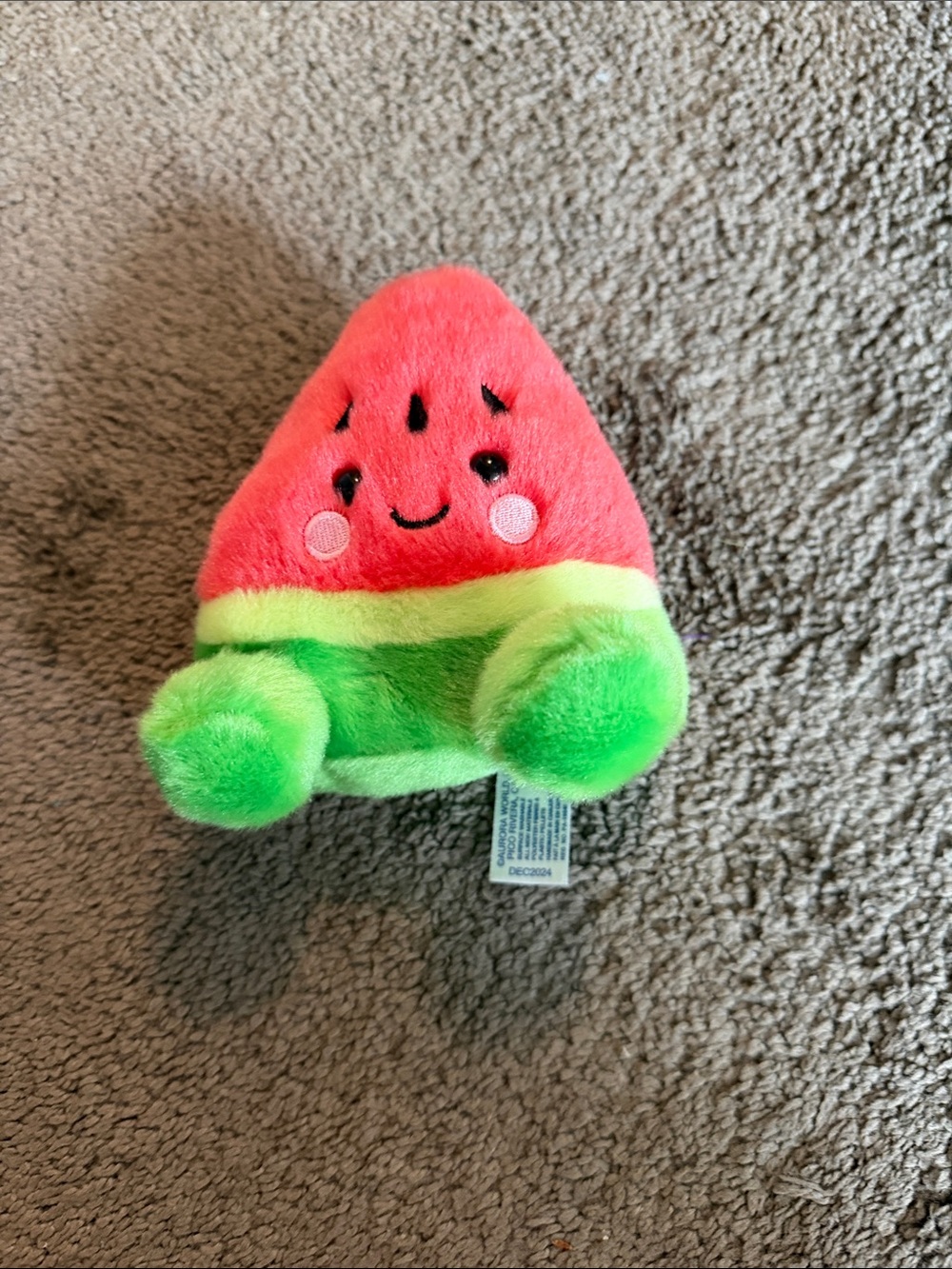 Cute Watermelon Plush Toy - Pink & Green Fruit Buddy